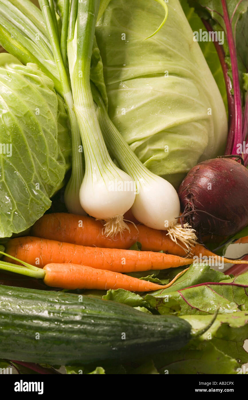 Carrots spring onions beetroot cabbage and cucumber FoodCollection Stock Photo