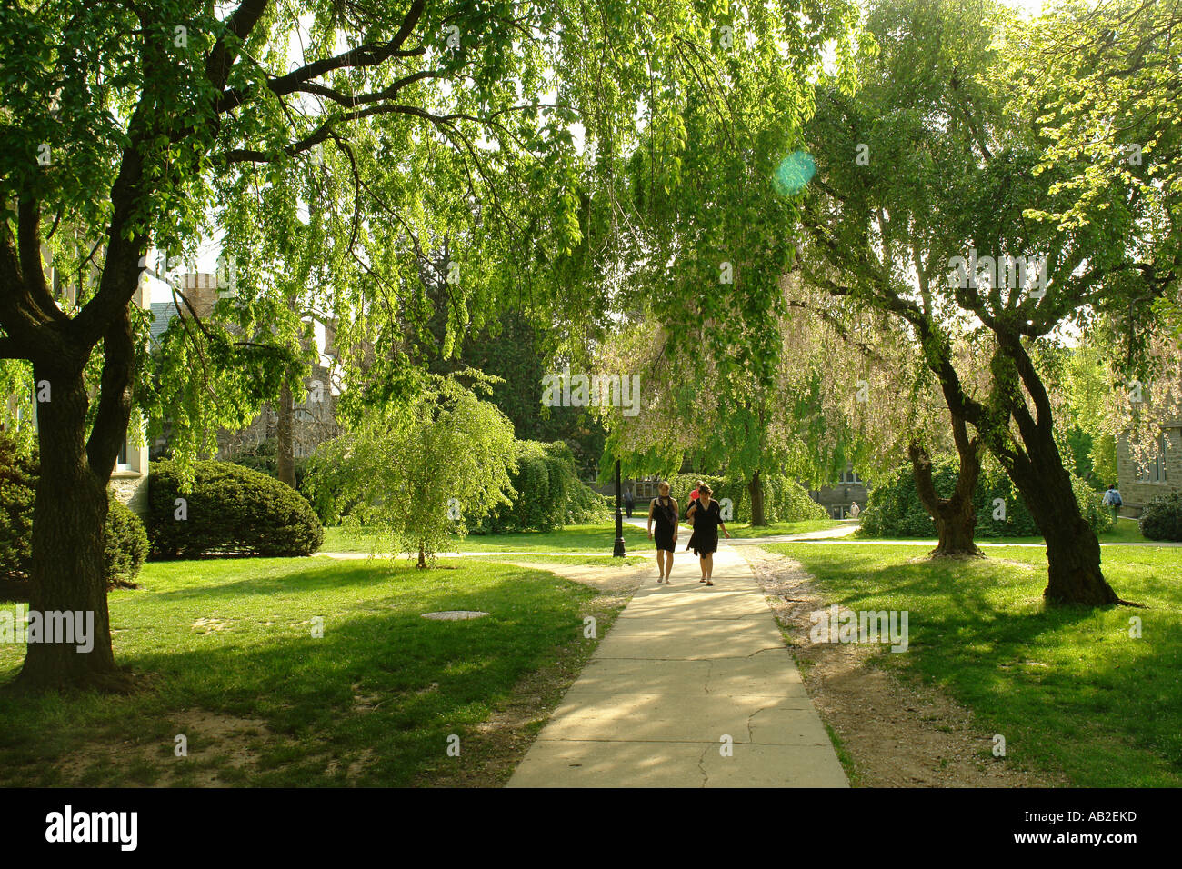 AJD49246, Bryn Mawr, PA, Pennsylvania Stock Photo Alamy