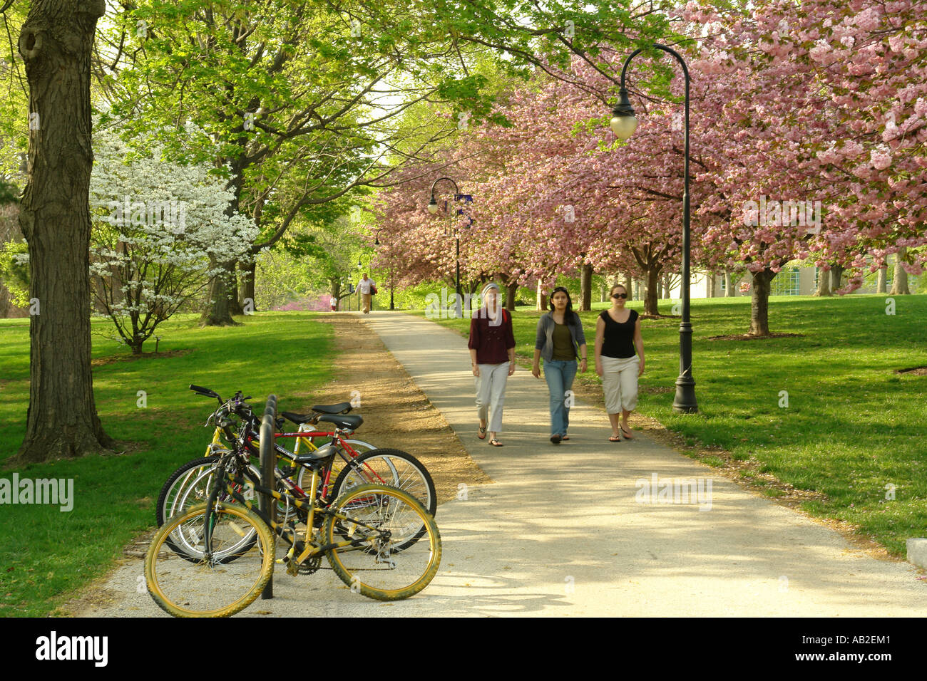 Bryn mawr hires stock photography and images Alamy