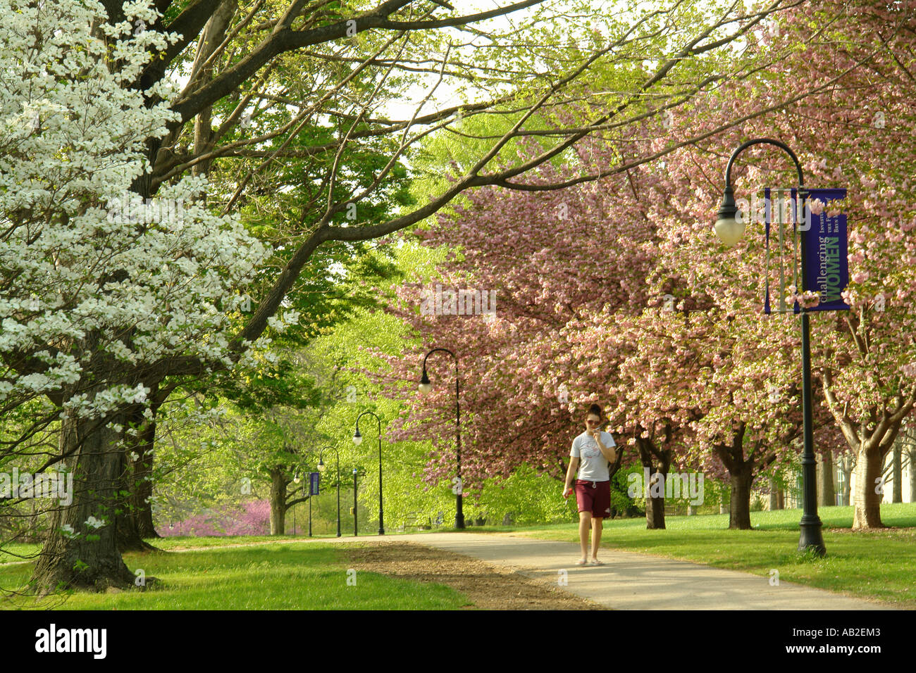 Bryn mawr hires stock photography and images Alamy
