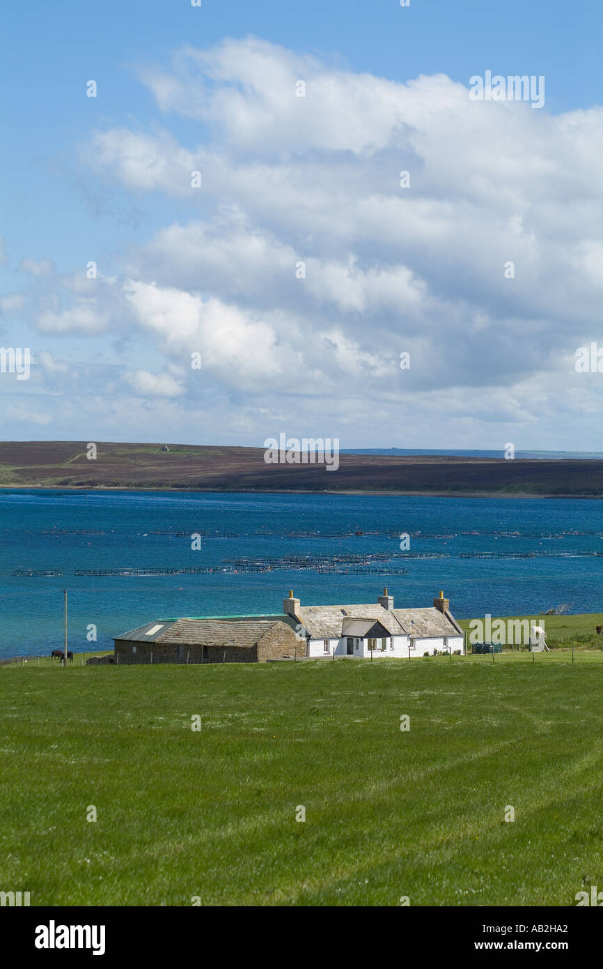 dh Ore bay HOY ORKNEY White cottage overlooking Fish farm cages house scotland houses by the sea uk aquaculture fishfarm rural blue sky Stock Photo
