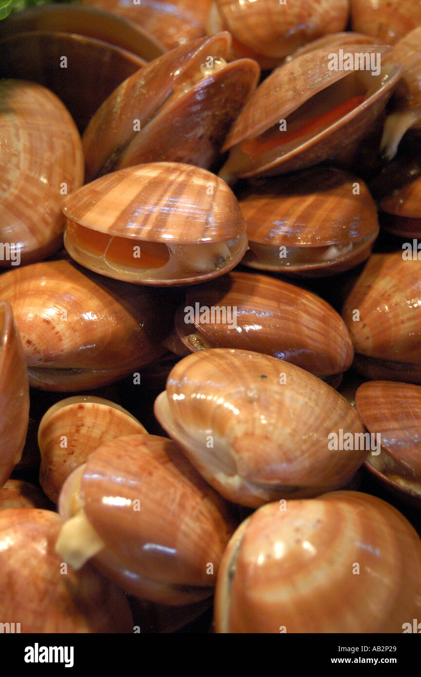Clams at Mercat de la Boqueria Barcelona Spain Stock Photo Alamy