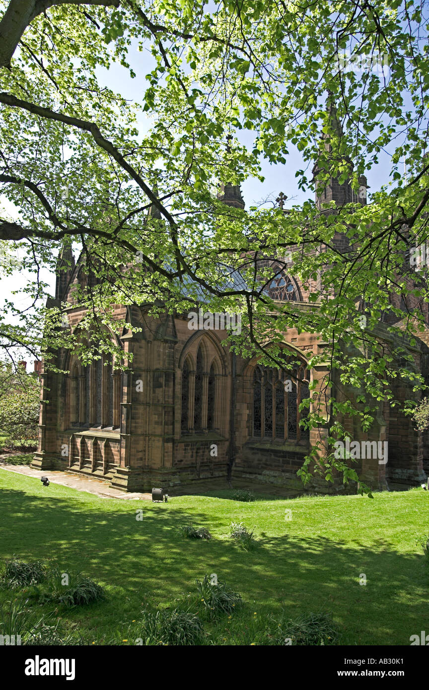 The magnificent Chester Cathedral viewed through the trees Stock Photo ...