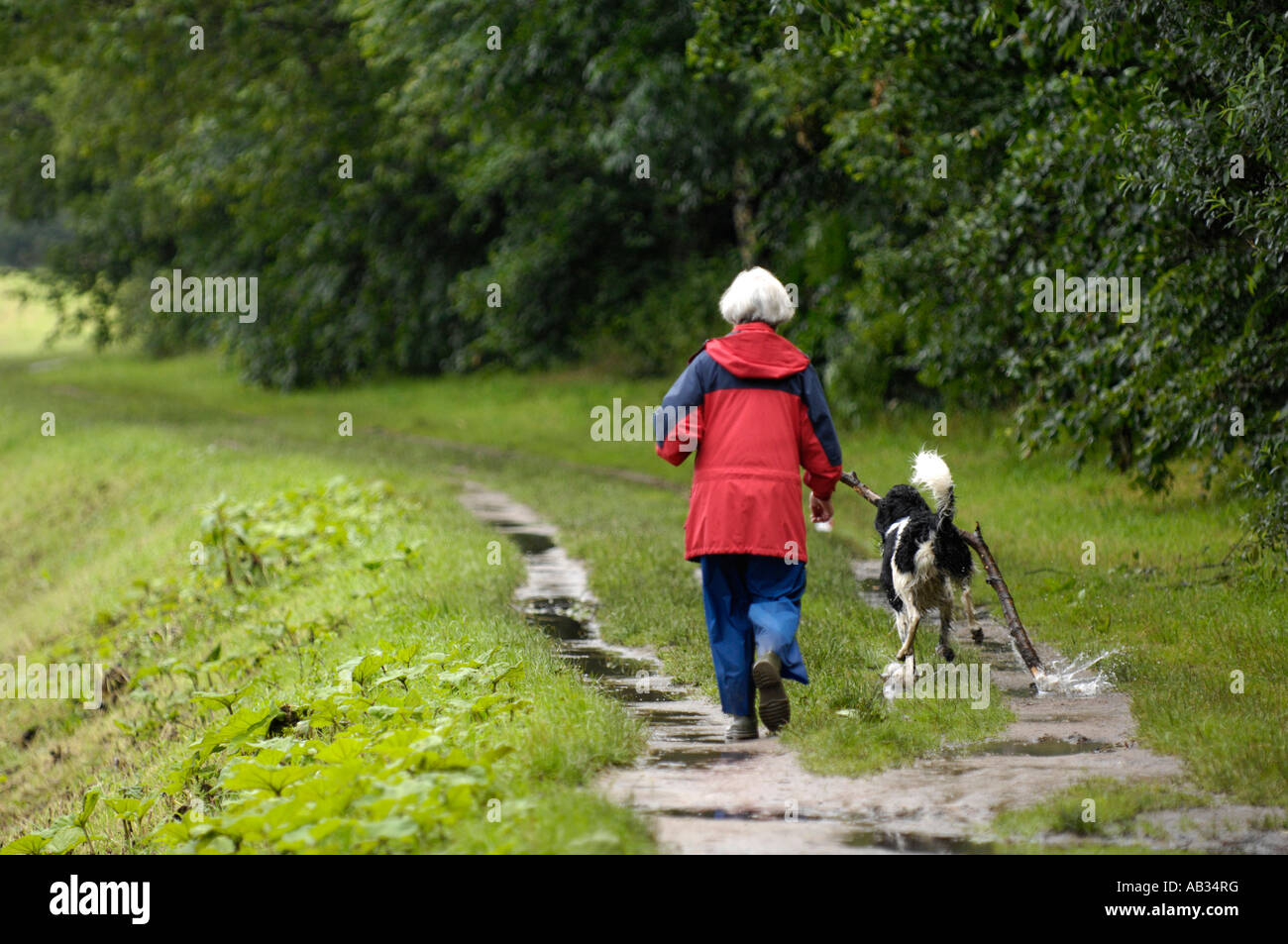 Old Lady Walking Dog High Resolution Stock Photography and Images - Alamy