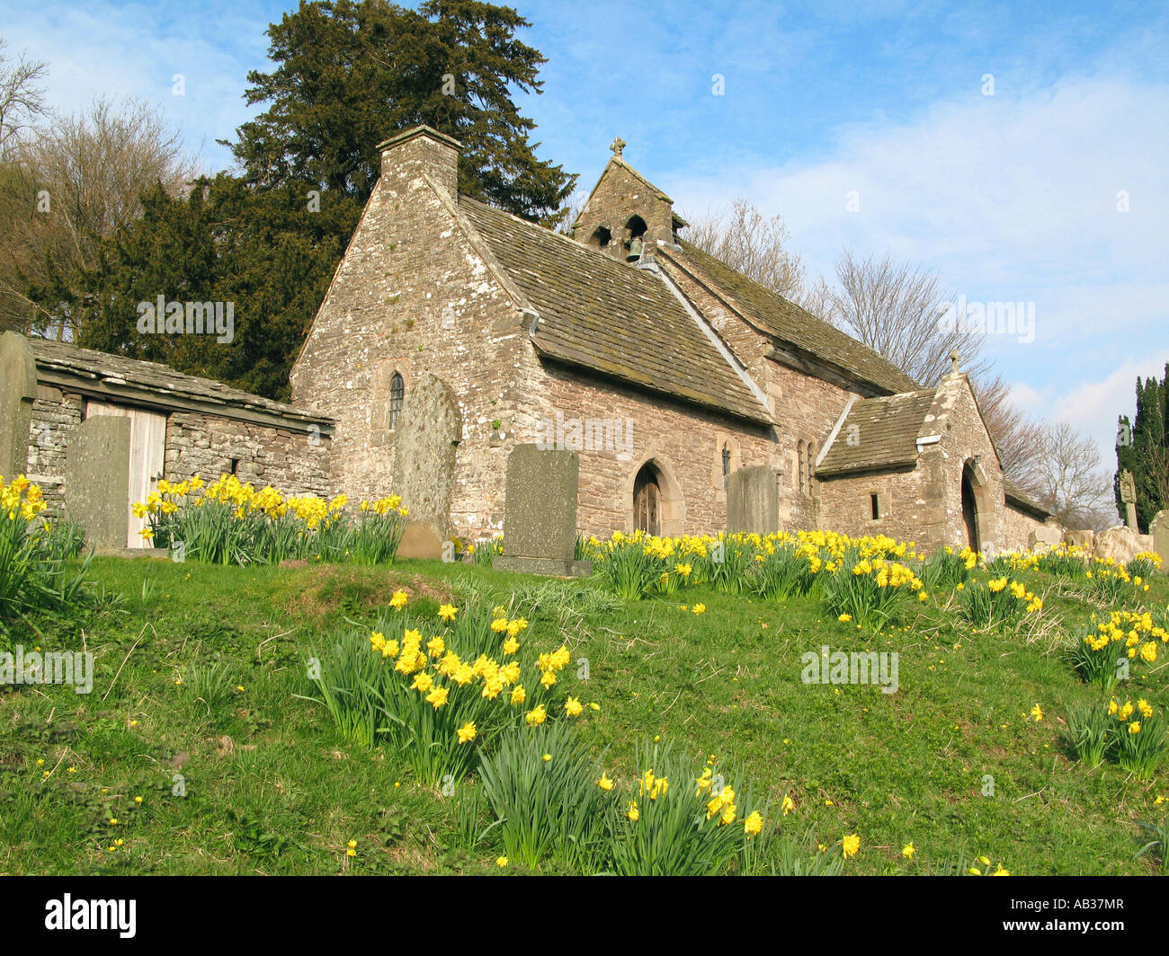 The 11th century church of Saint Issui Partricio in Spring with daffodils Partrishow Monmouthshire Wales UK Stock Photo