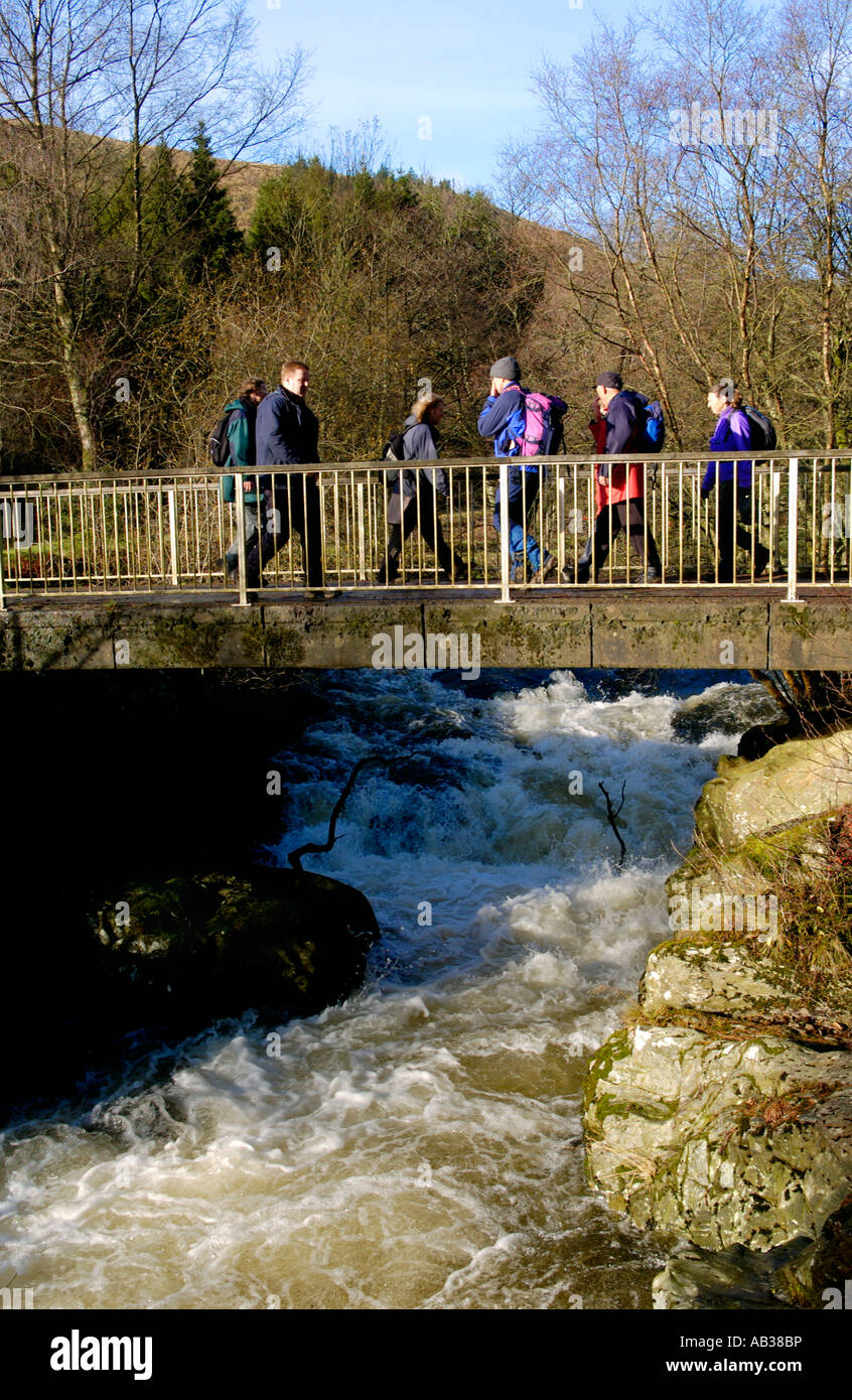 Walkers taking part in Real Ale Ramble walking festival cross the fast ...