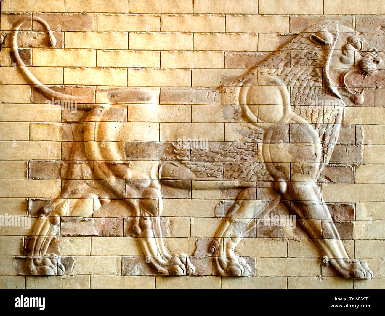 Frieze the lion from the reign of Darius I, ca 510 BC from his palace in Susa Persia  Persian Iran Stock Photo