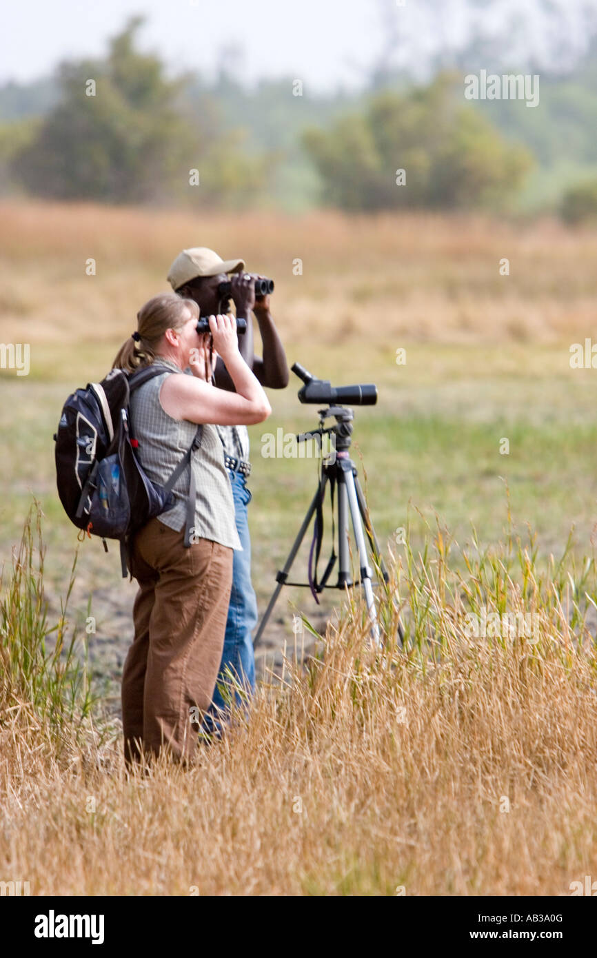 Guide visiting bird watcher wiith binoculars scan grassland mudflats near Tendaba Camp on Gambia River for birds The Gambia Stock Photo