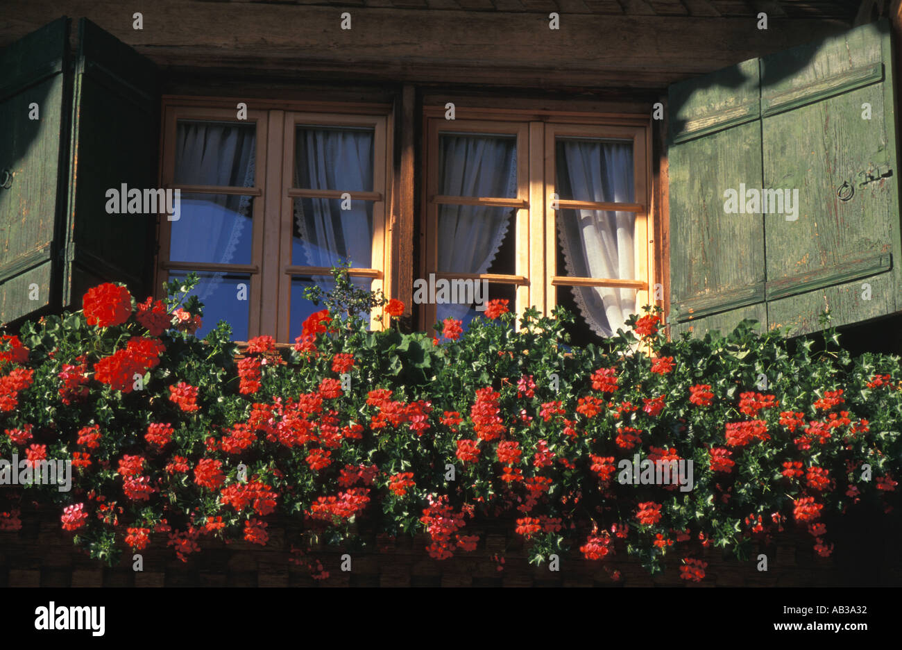 Window and flowers Rougemont Switzerland Stock Photo