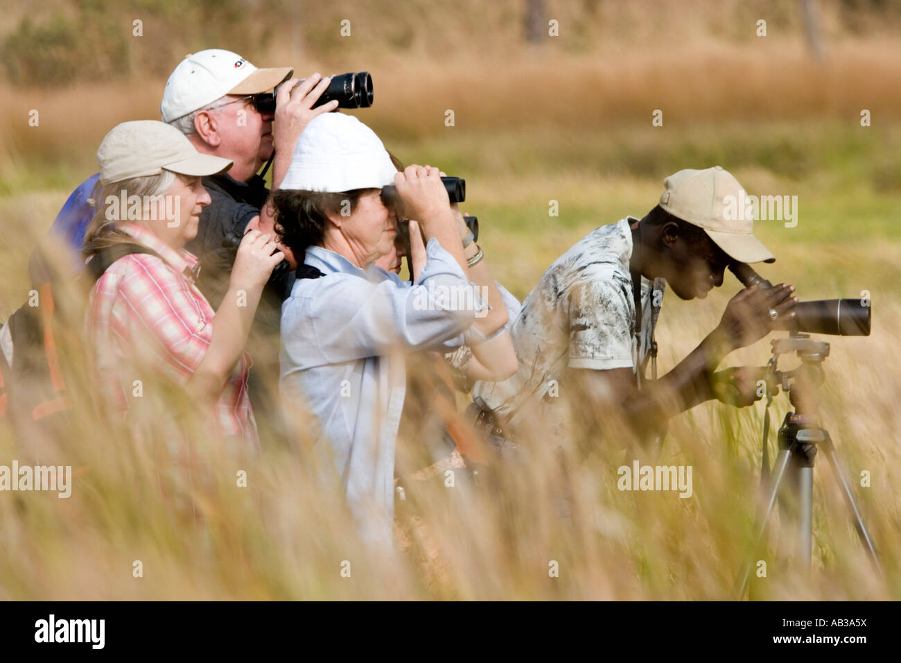 Guide looks for different species to show visiting bird watchers grassland mudflats near Tendaba Camp on Gambia River The Gambia Stock Photo