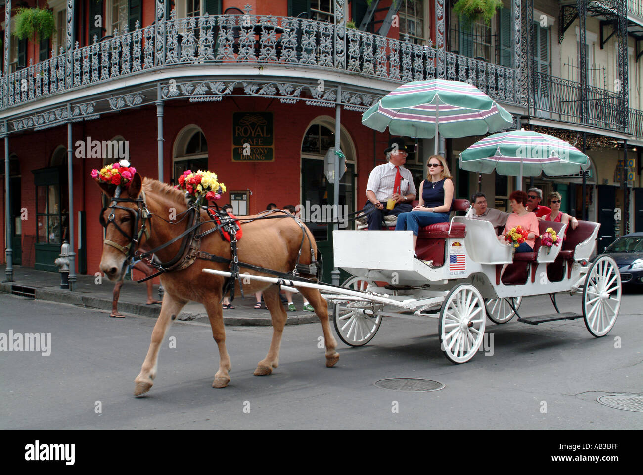 Horse Drawn Carriage in New Orleans USA Mississippi Stock Photo Alamy