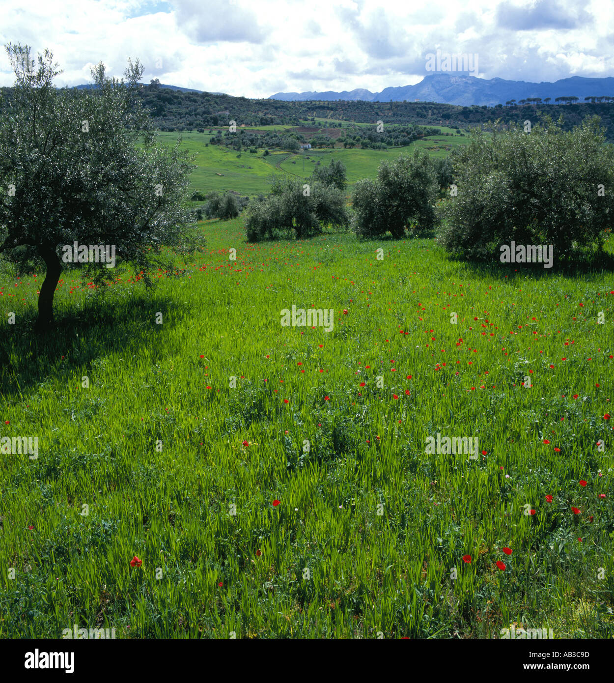 Verdant landscape hi-res stock photography and images - Alamy