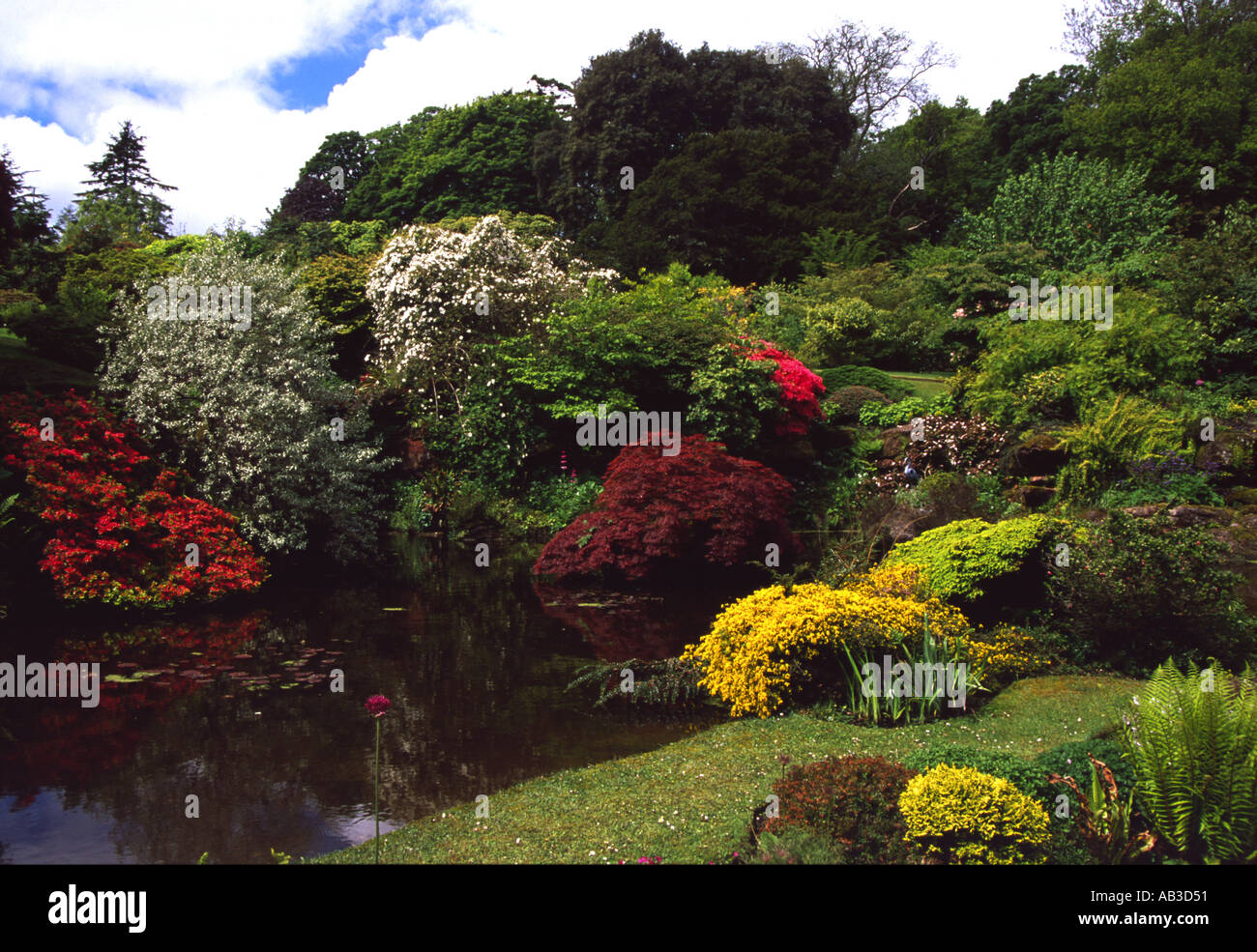 Mount Stuart garden Isle of Bute Scotlang Stock Photo Alamy