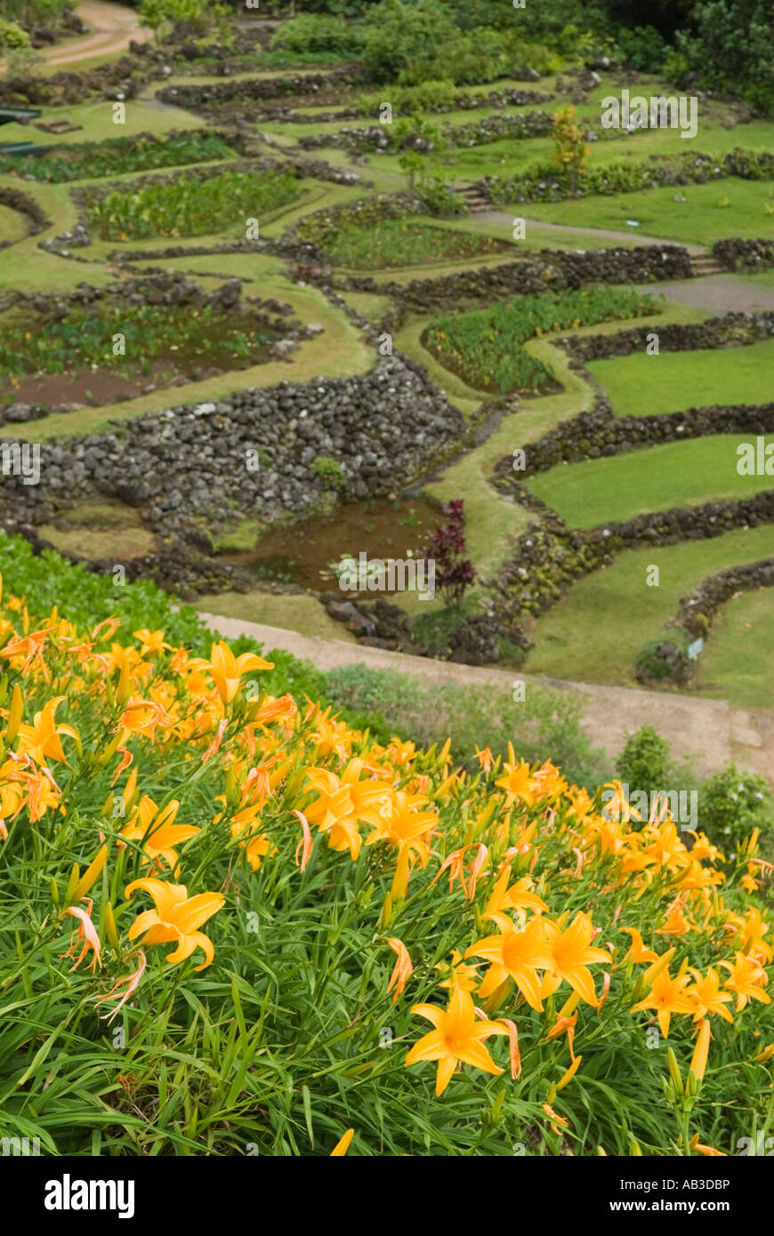 Limahuli Garden and Preserve, National Tropical Botanical Gardens ...
