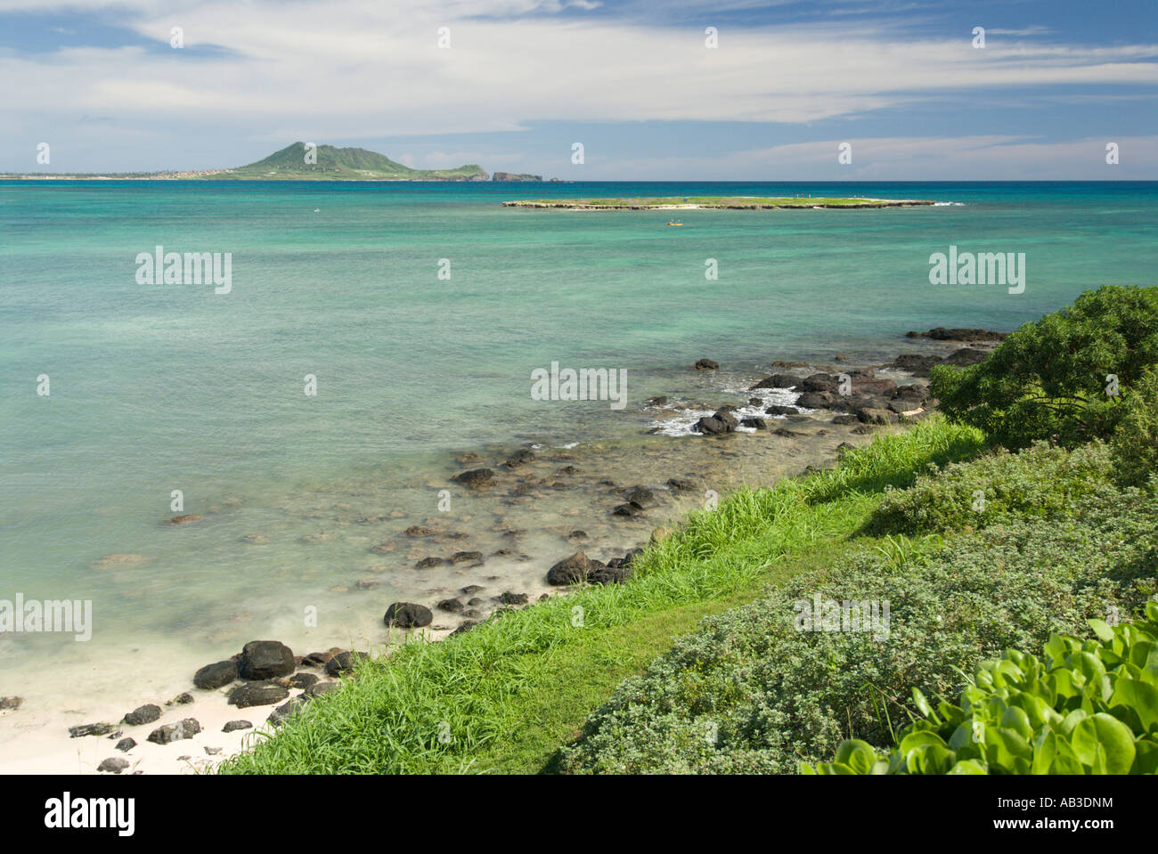 Kay Bay Hawaii