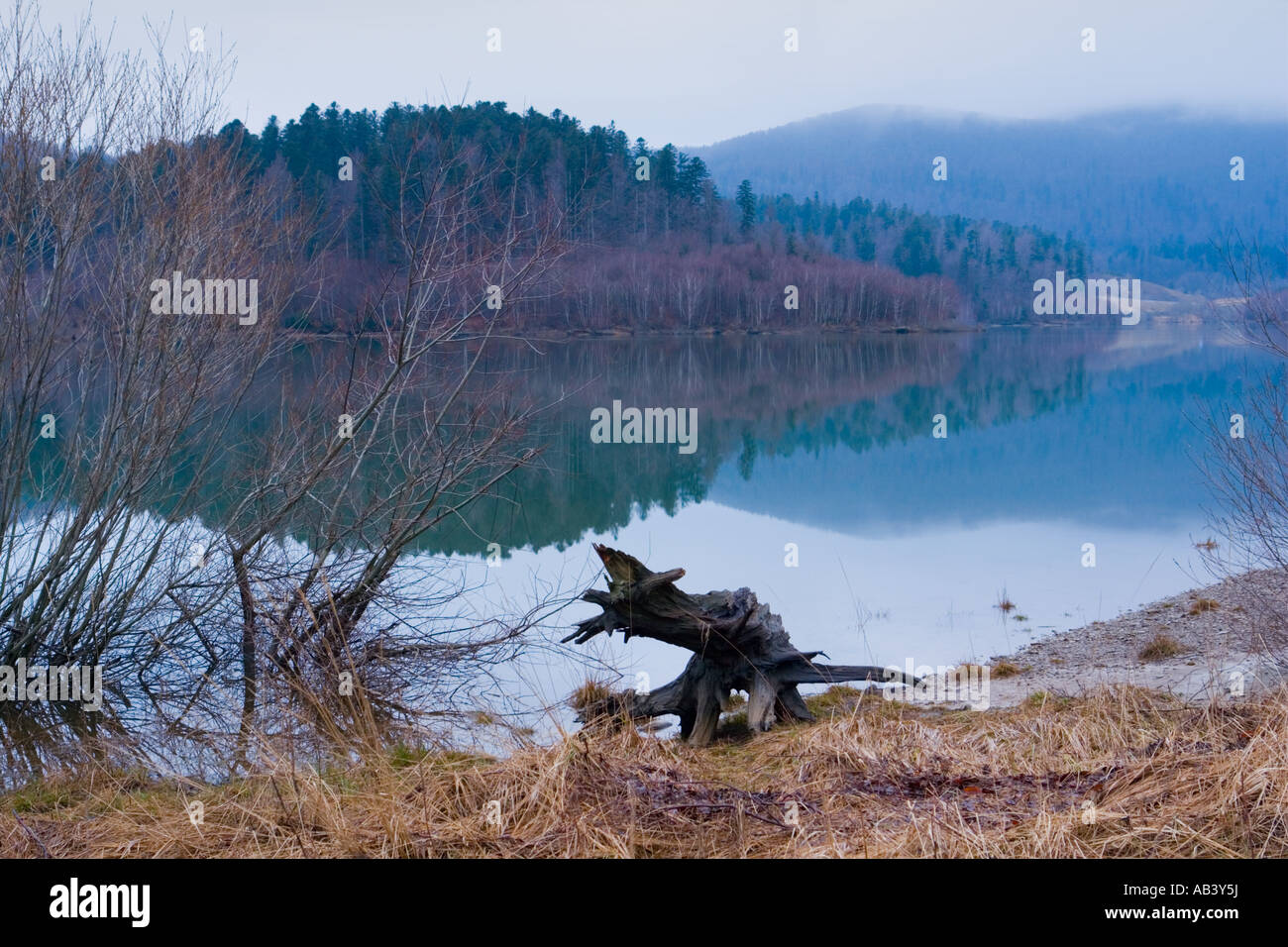 Early morning on Lepenica lake with tree stump in foreground, Croatia, Europe Stock Photo