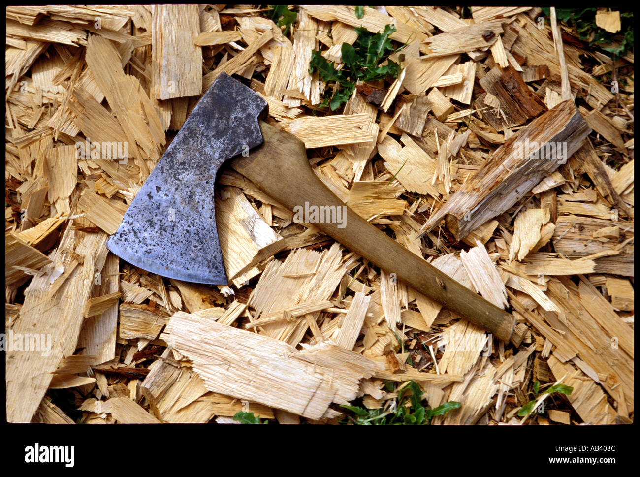 An Old English logging axe used to cut and shape wood in the process of