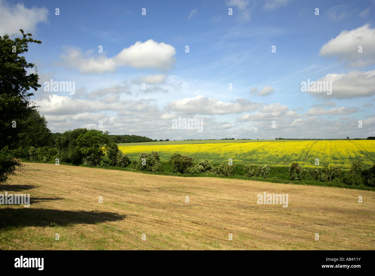 Farmland earmarked for the building of a new runway at Stansted airport Essex England UK Stock Photo