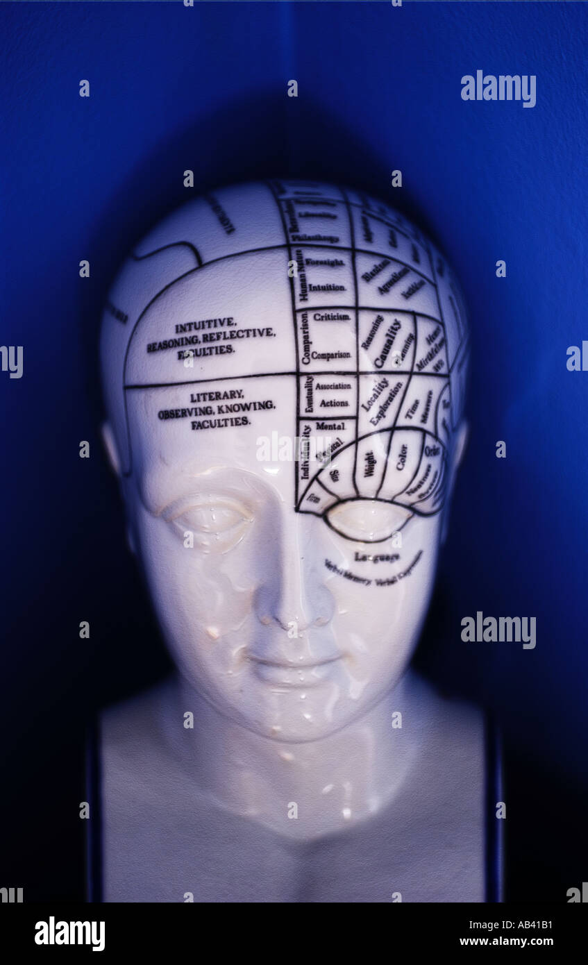 Porcelain Phrenology Head. Intellegence and Emotion Concept Stock Photo