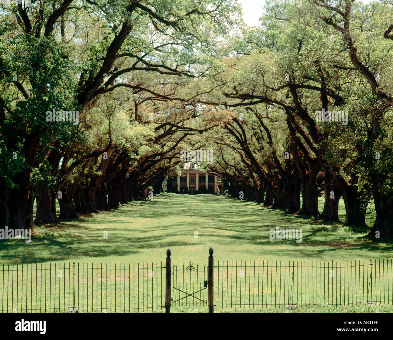 Great river road louisiana hi-res stock photography and images - Alamy