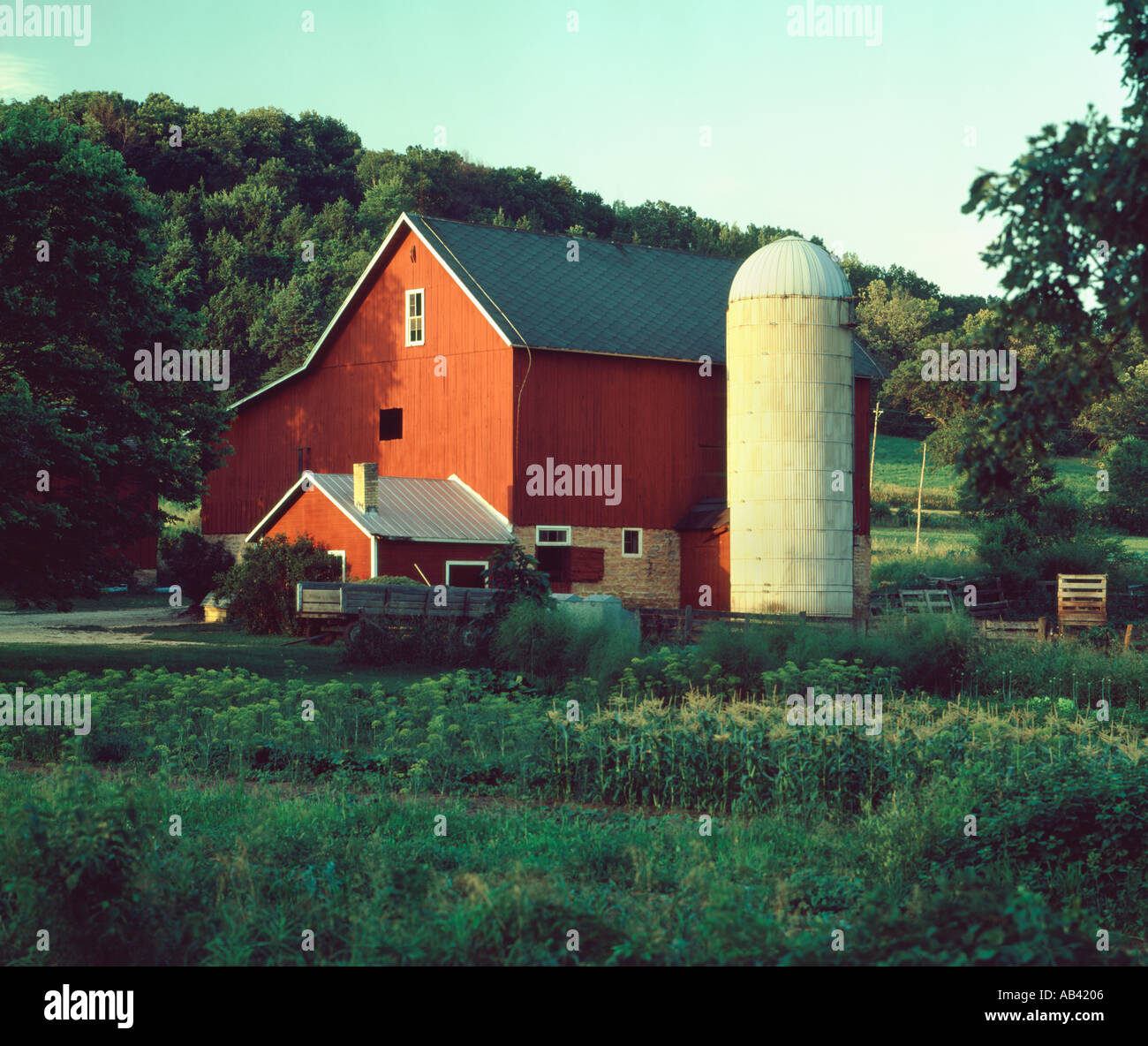 Wisconsin dairy farm showing hi-res stock photography and images - Alamy