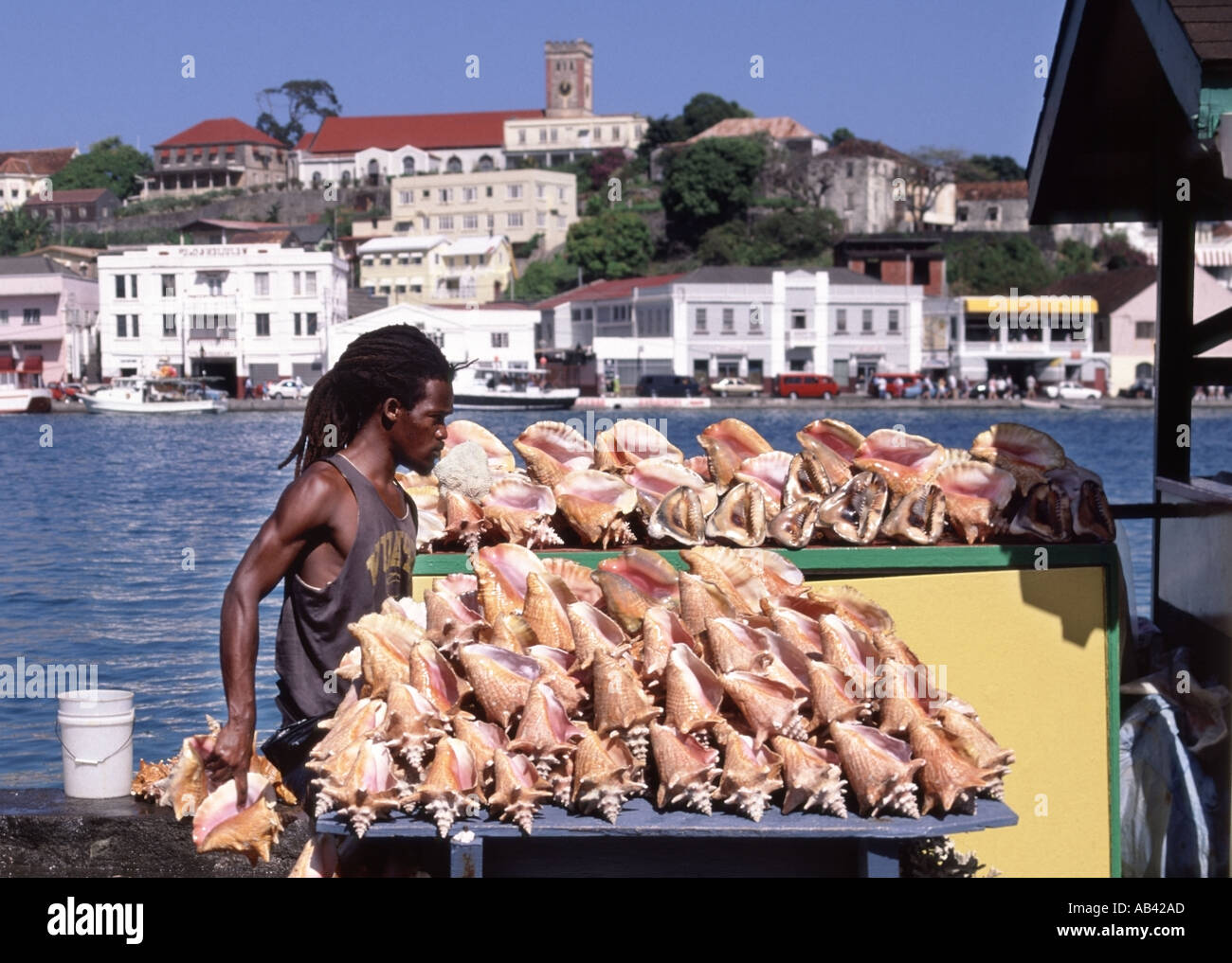 Grenada Caribbean St Georges harbour in the Caribbean Sea waterside trader market stall selling conch shells to tourists from cruise ship liners Stock Photo