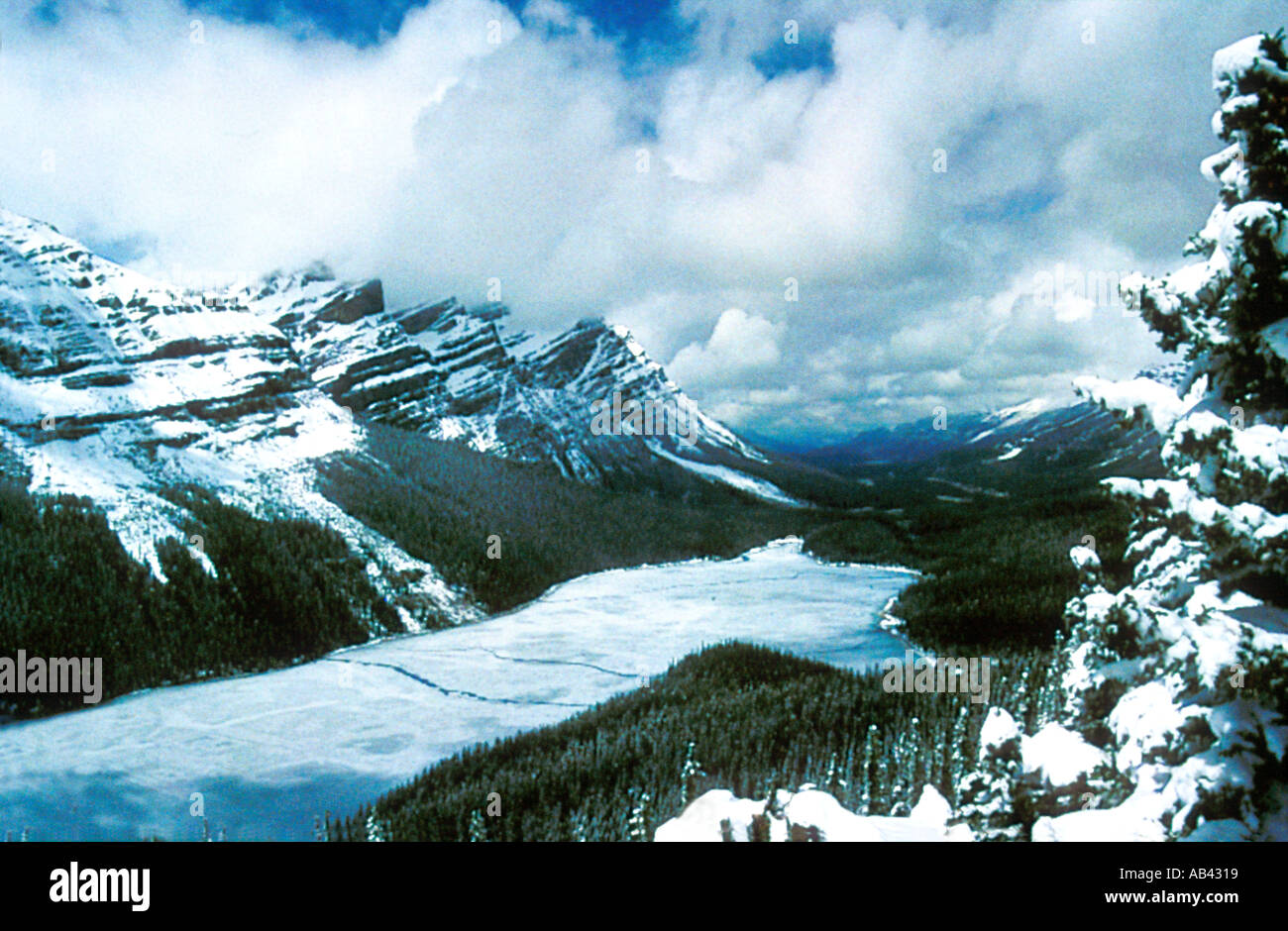 Banff national park alberta canada peyto lake snow winter hi-res stock ...