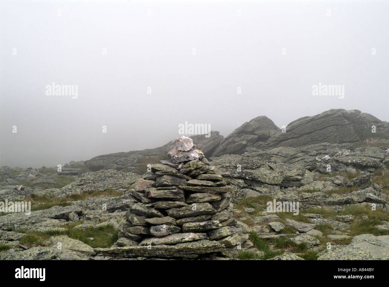 Alpine zone, Davis Path, White Mountains, New Hampshire, USA Stock