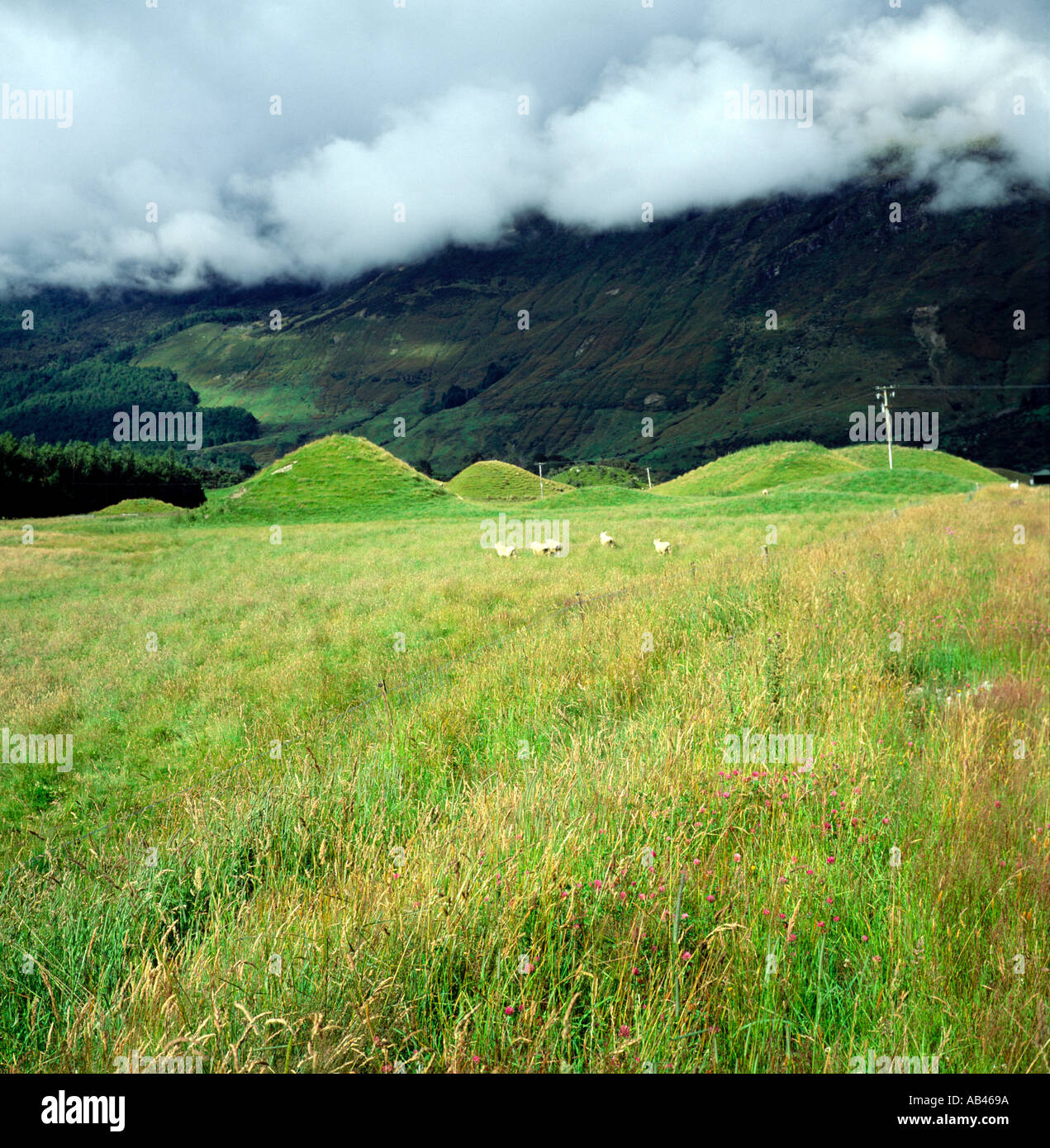 Drumlins Routeburn valley near Glenorchy south island New Zealand Stock