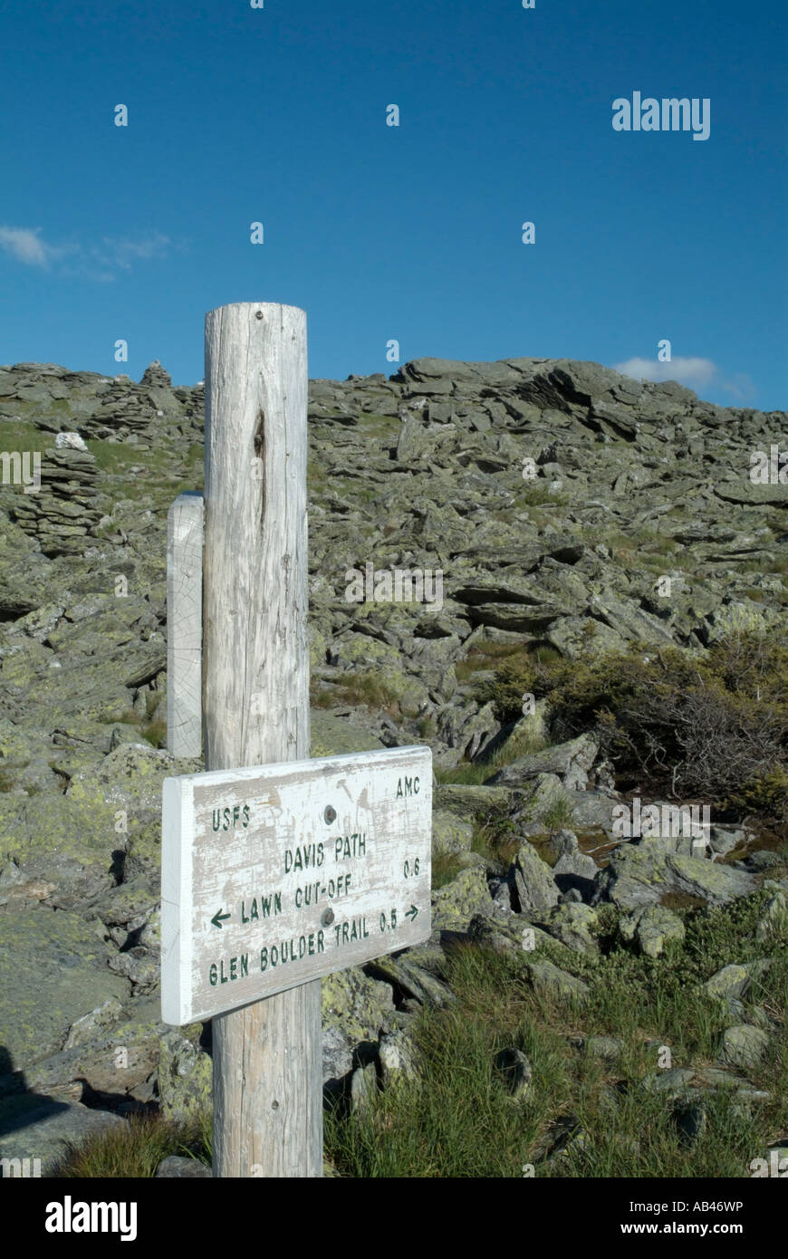 Alpine zone, Davis Path ,White Mountains, New Hampshire USA Stock Photo