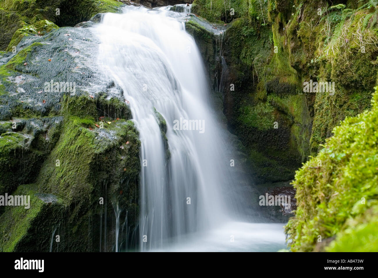 Small waterfall, Zeleni vir in Croatia, Europe Stock Photo