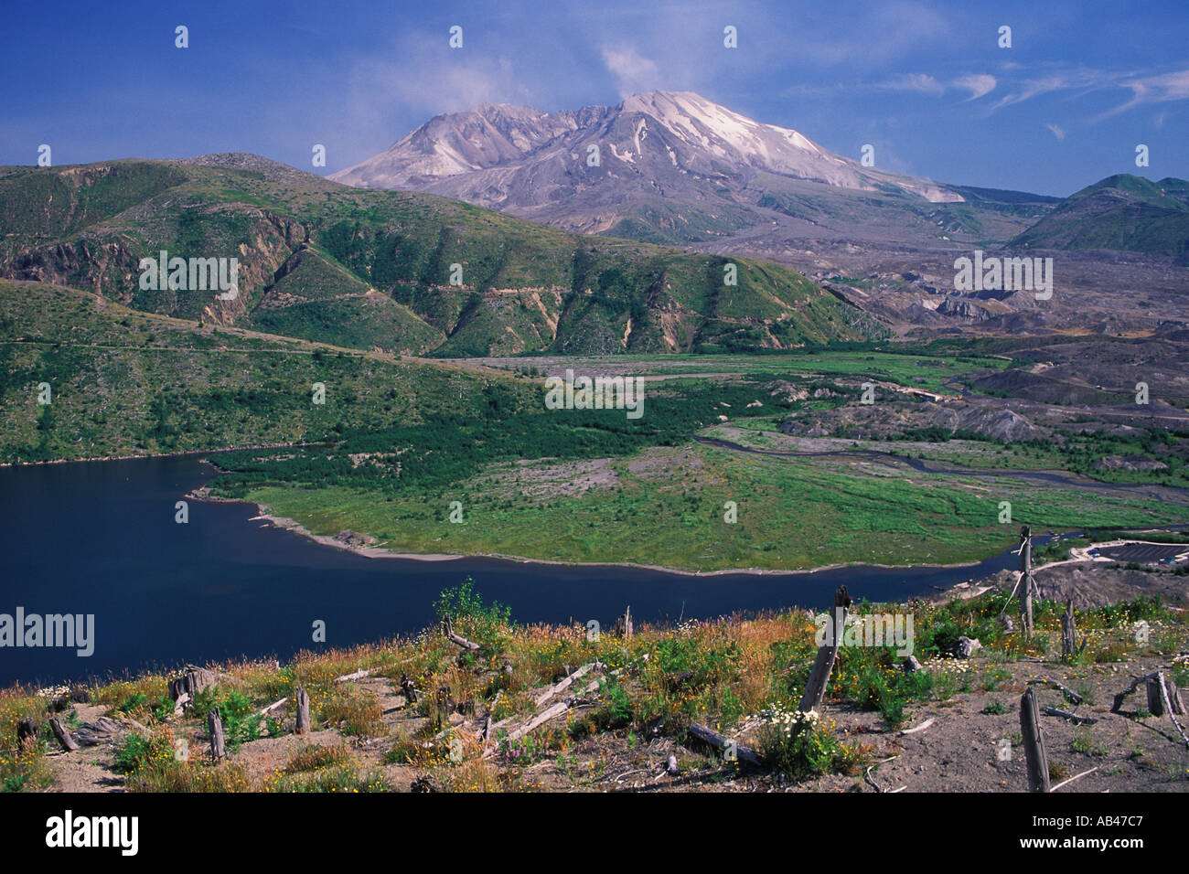 Washington Mount St Helens View Of Coldwater Lake And Volcano Crater 