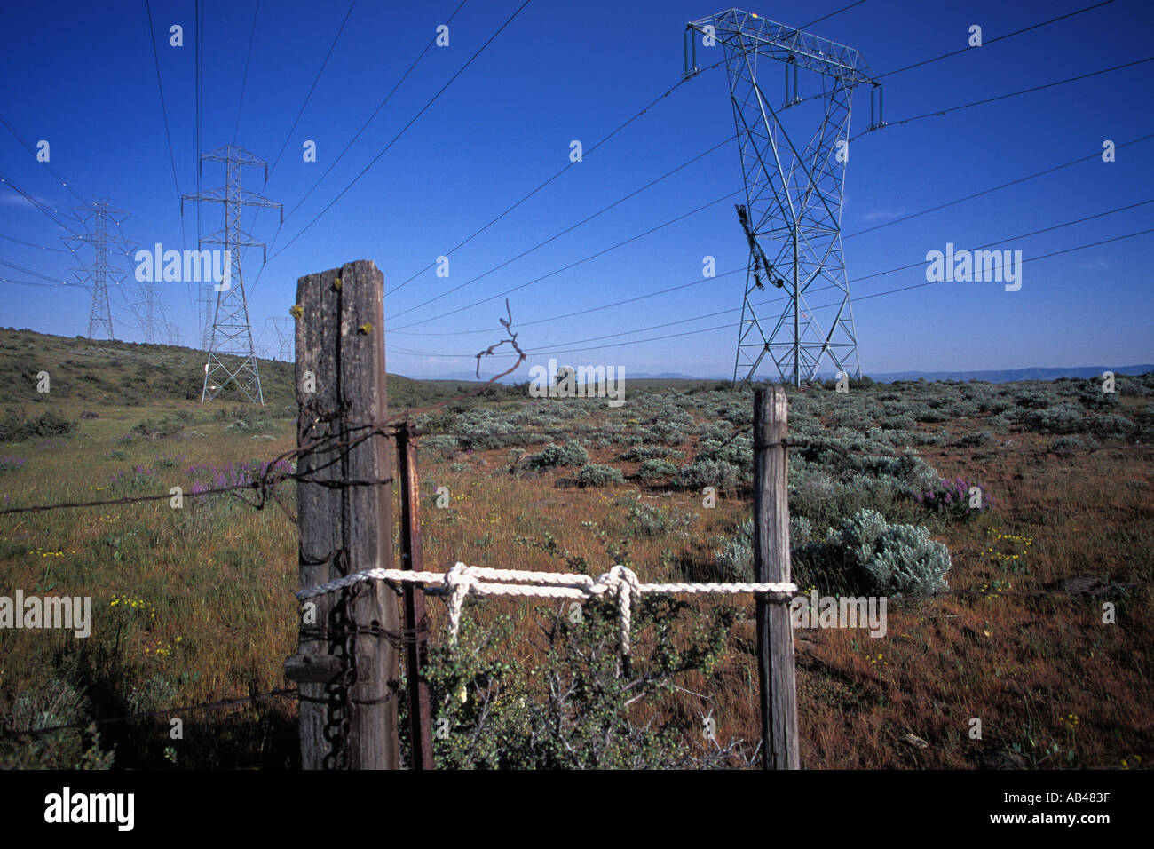 Rope holds ranch fence gate closed electric transmission towers and