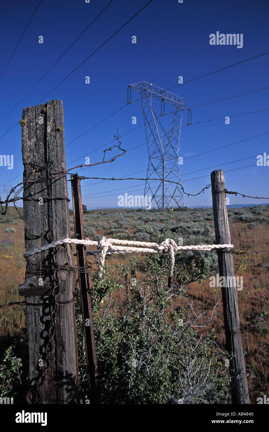 Rope holds barbed wire ranch fence gate closed electric transmission