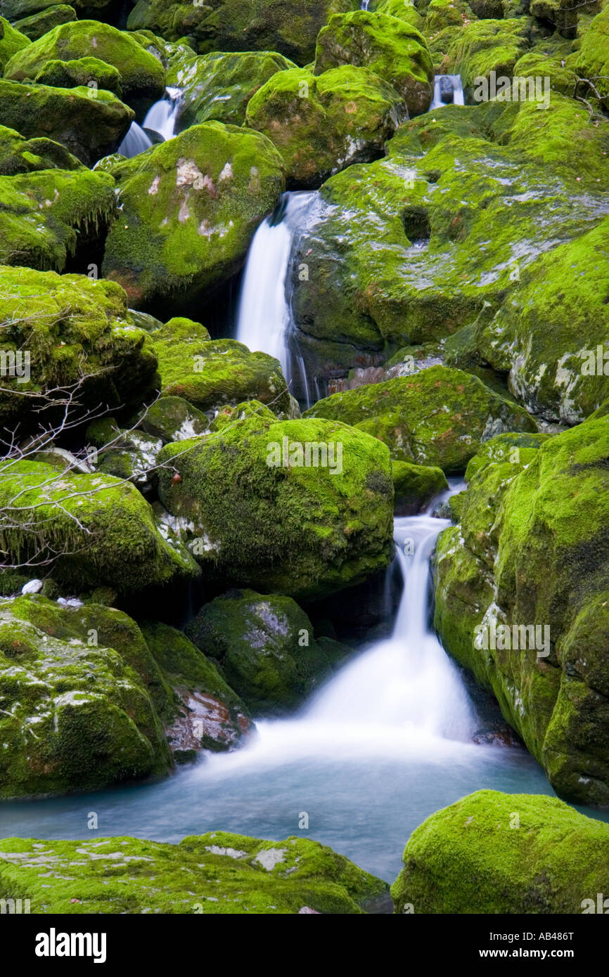 Cascading forest waterfall, Zeleni vir in Croatia, Europe Stock Photo
