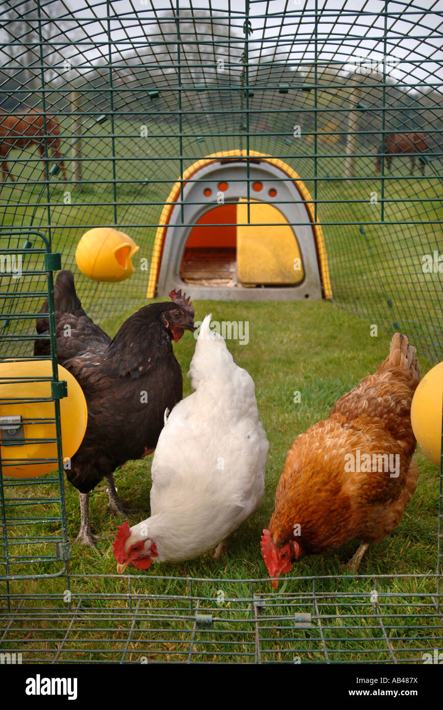 THE OMLET EGLU CHICKEN HOUSE UK 2007 Stock Photo Alamy