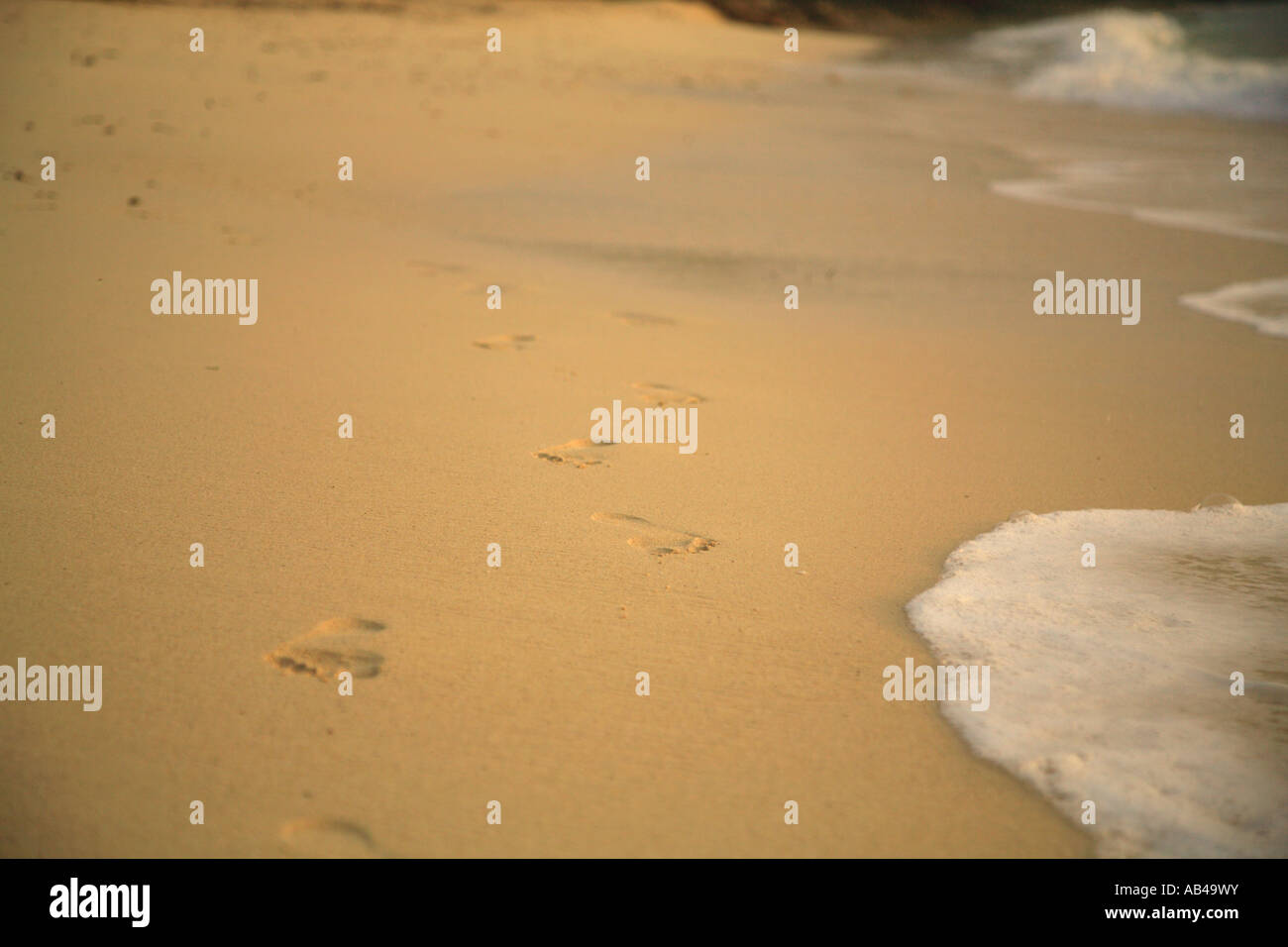 Footprints in the sand Mombasa Kenya Stock Photo Alamy