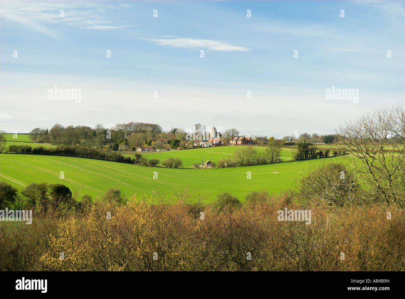 Spring day fields village and countryside Fawley Lambourn Downs West