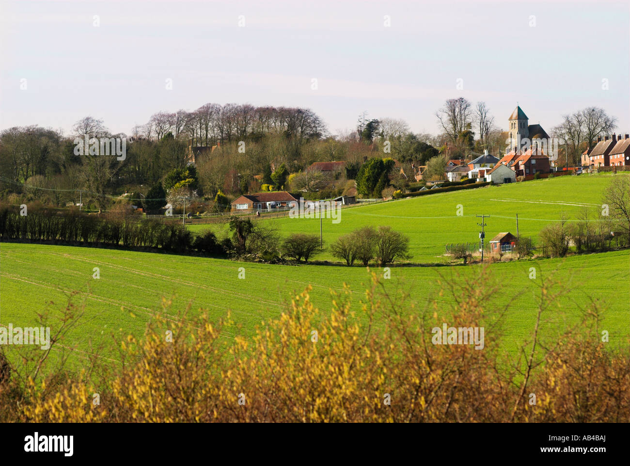 Spring day fields village and countryside Fawley Lambourn Downs West