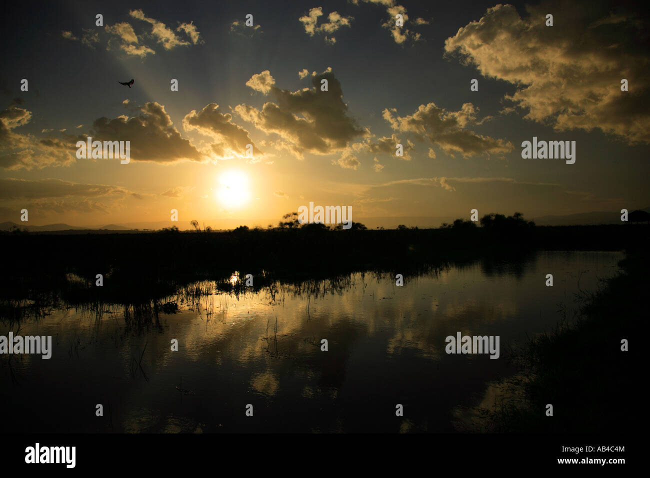 Stunning Sunset Over Lake Naivasha Kenya Stock Photo Alamy stunning-sunset-over-lake-naivasha-kenya-stock-photo-alamy