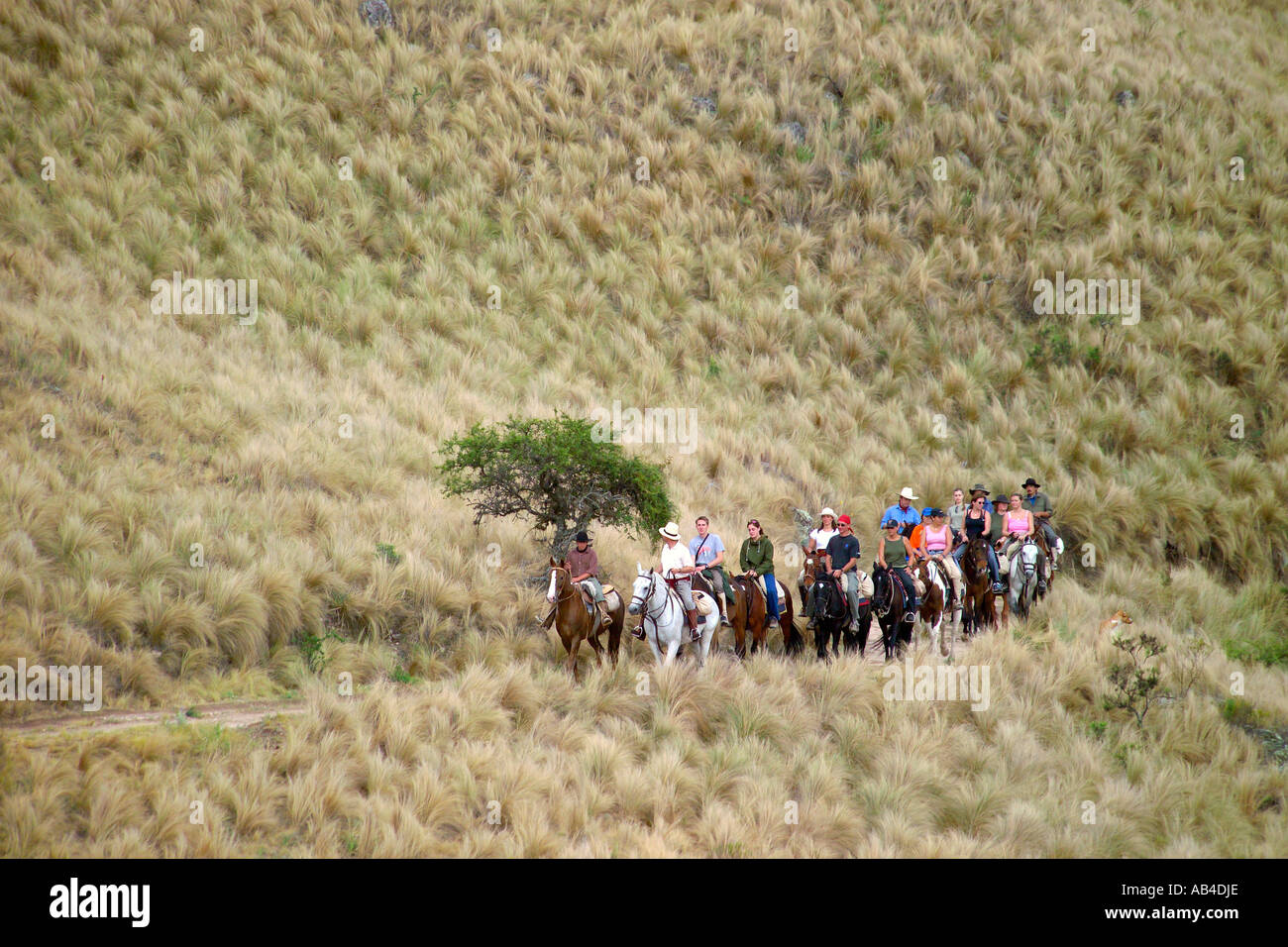 Tourists and their guides horse riding through the Pampas region of