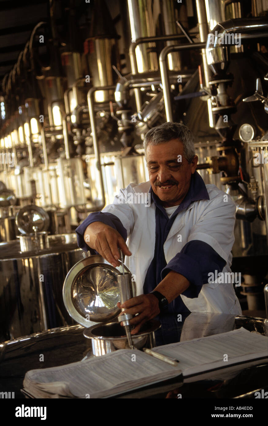 Tequila production in Mexico Distilled tequila checked for alcohol