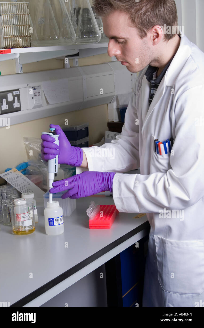 Tech Using Pipette technician using using pipette Stock Photo - Alamy