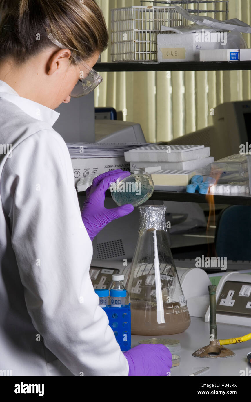 Female lab technician Stock Photo - Alamy