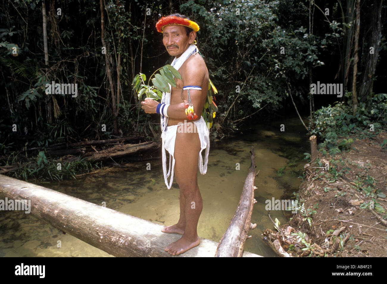 Piaroa Indian shaman with medicinal plants gathered from the jungle village of Aska aja near Puerto Ayacucho Venezuela  Stock Photo