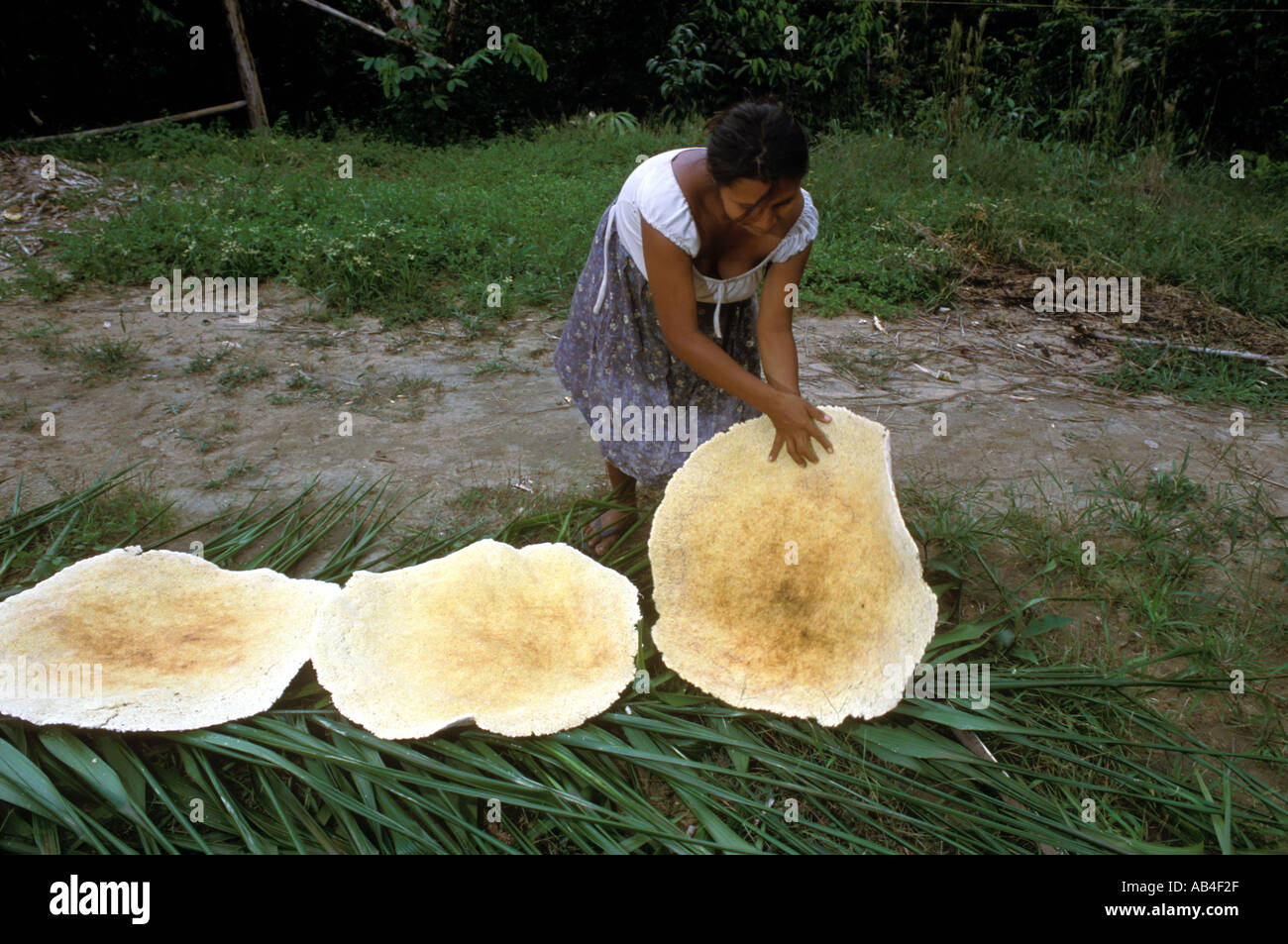 A Piaroa Indian woman dries flat bread made from yucca meal in a village on the Rio Catanaipo near Puerto Ayacucho Venezuela  Stock Photo