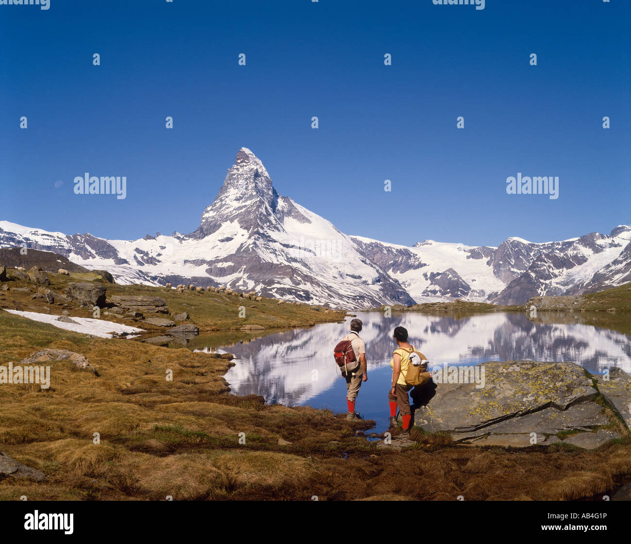 switzerland-the-matterhorn-stock-photo-alamy