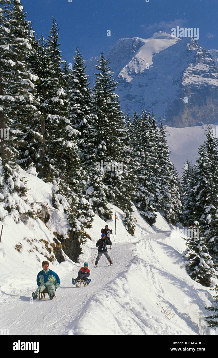 Switzerland Mürren, Berner Oberland, Jungfrau region, Sledging and skiing Stock Photo