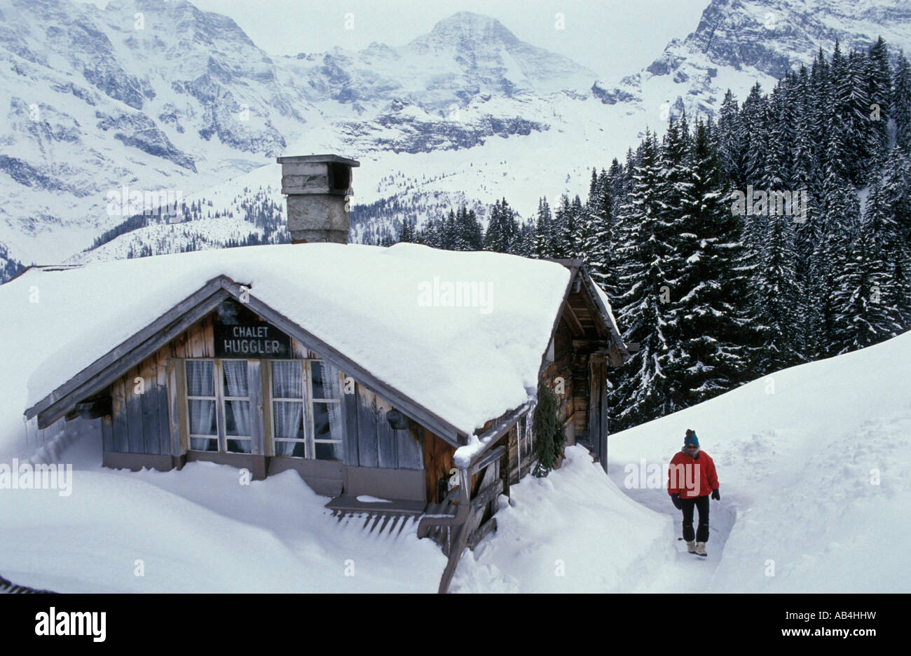 Switzerland Mürren, Berner Oberland, Jungfrau region, Chalet , Hiker ...
