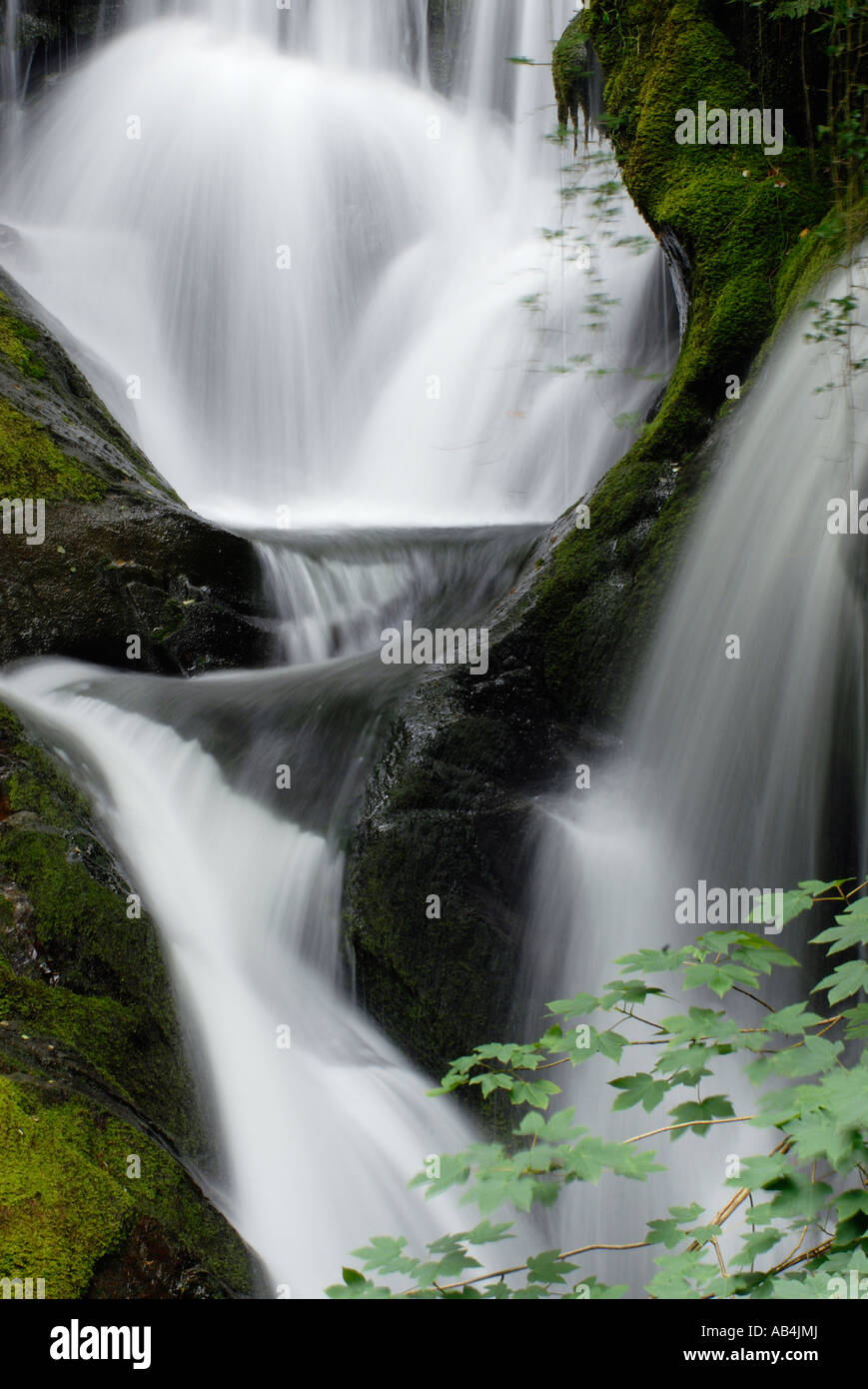 Slow speed shutter hi-res stock photography and images - Alamy